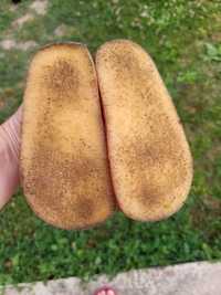 Sandalute barefoot