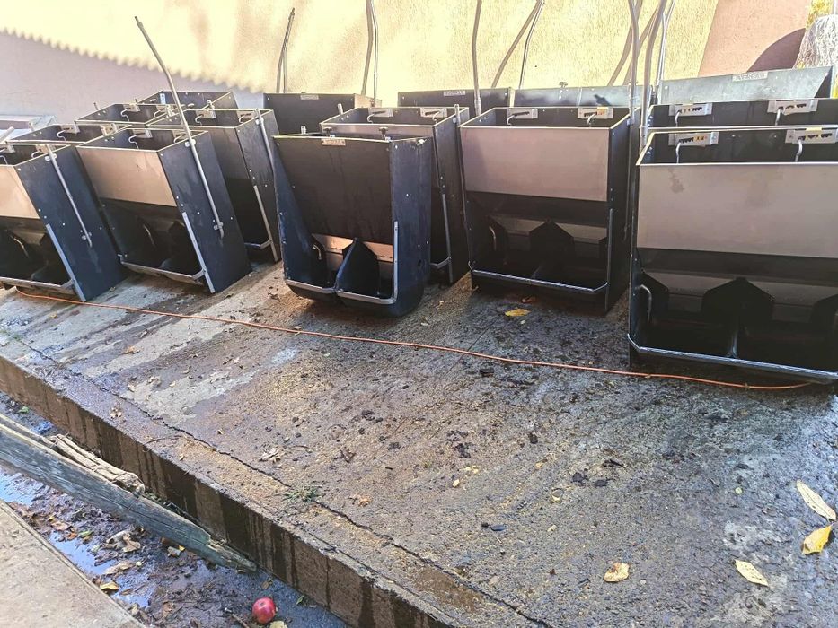 Vând hrănitoare automate pentru porci