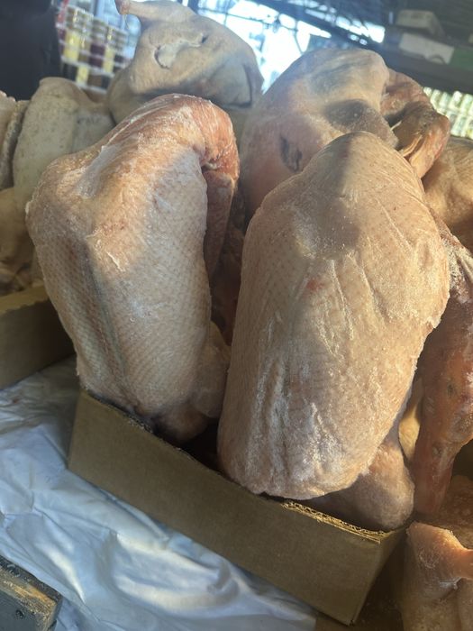 Мясо утки . Свежее