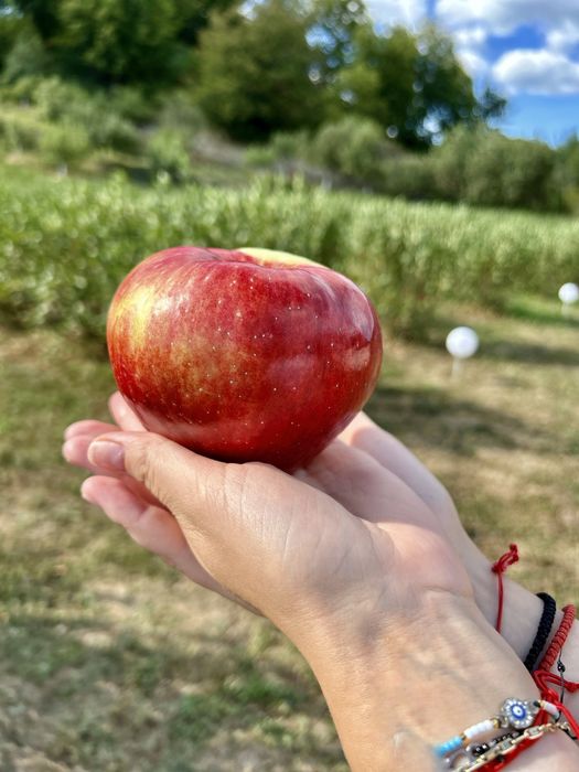 Suc de mere 100% NATURAL