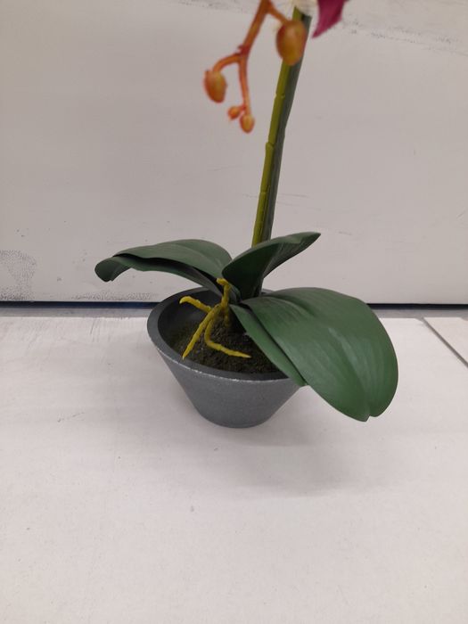 Orhidee roz, decorațiune artificială