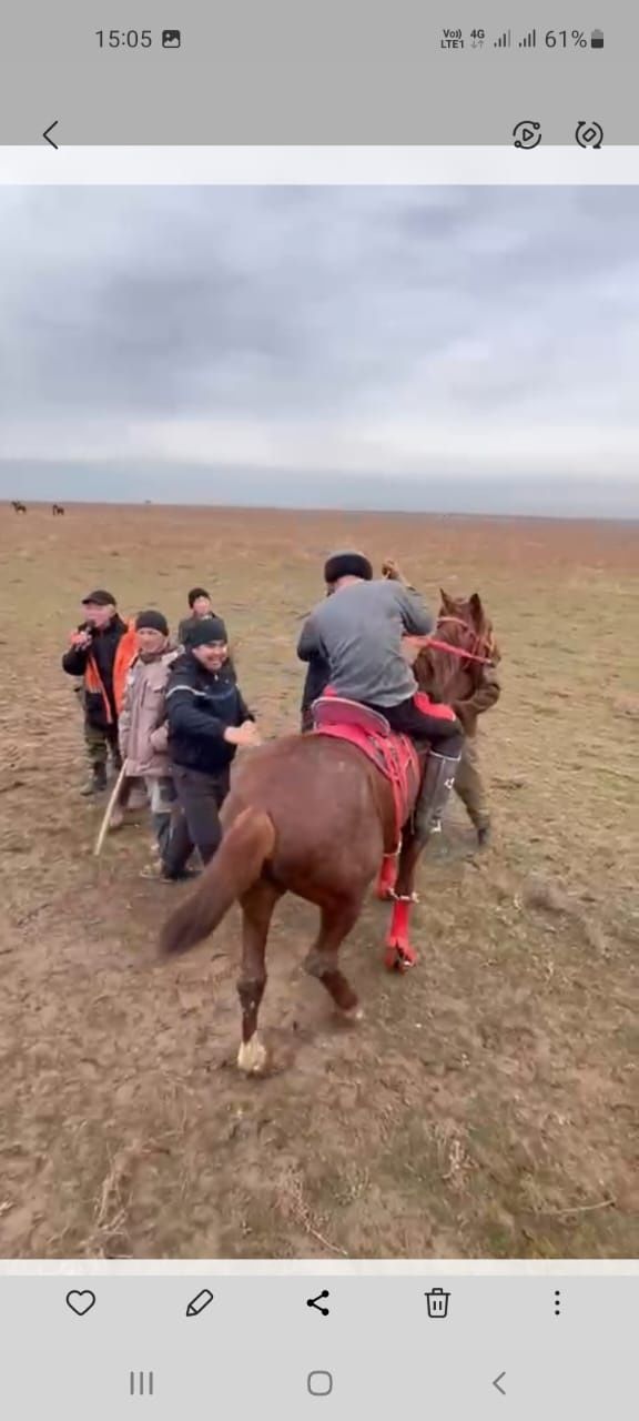 Ат сатылады срочна