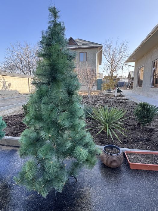 Елка новогодняя,в хорошем состоянии,красивая,пышная,украсит дом