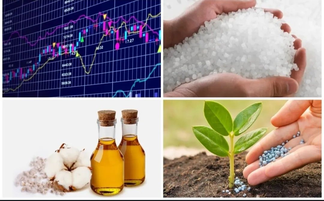 Broker xizmati (Birja, Avtoraqam E-auksion)
