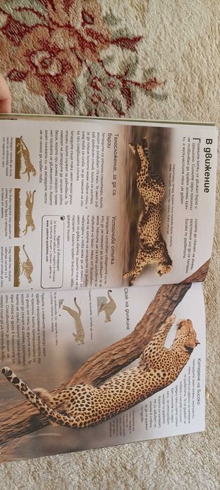 Книжки енциклопедии за деца