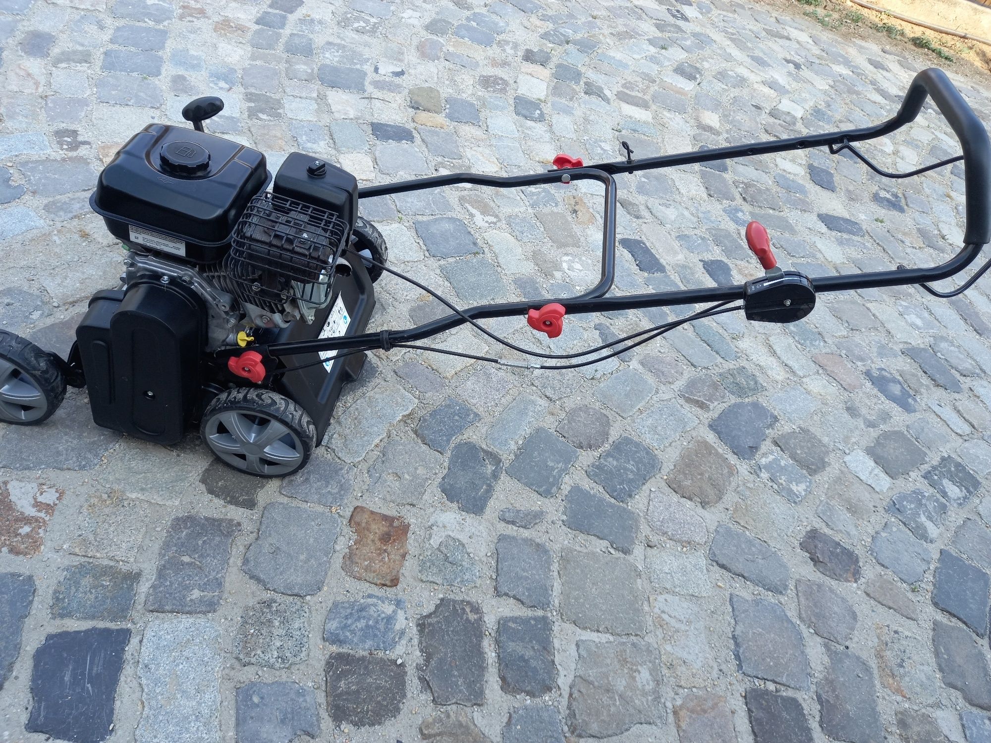 Scarificator gazon briggs&stratton