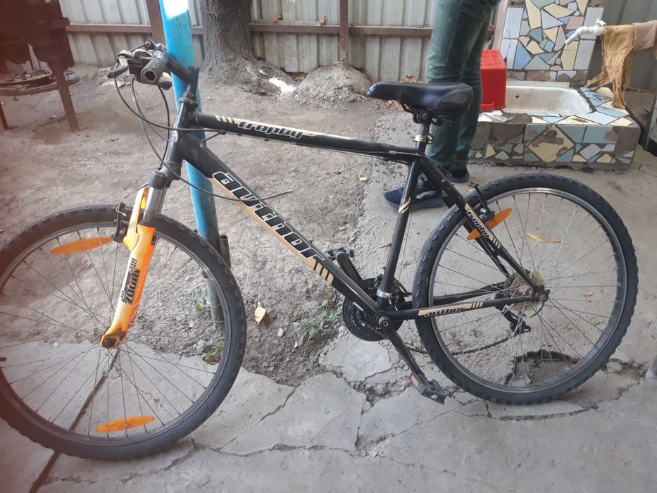 Велик author trophy