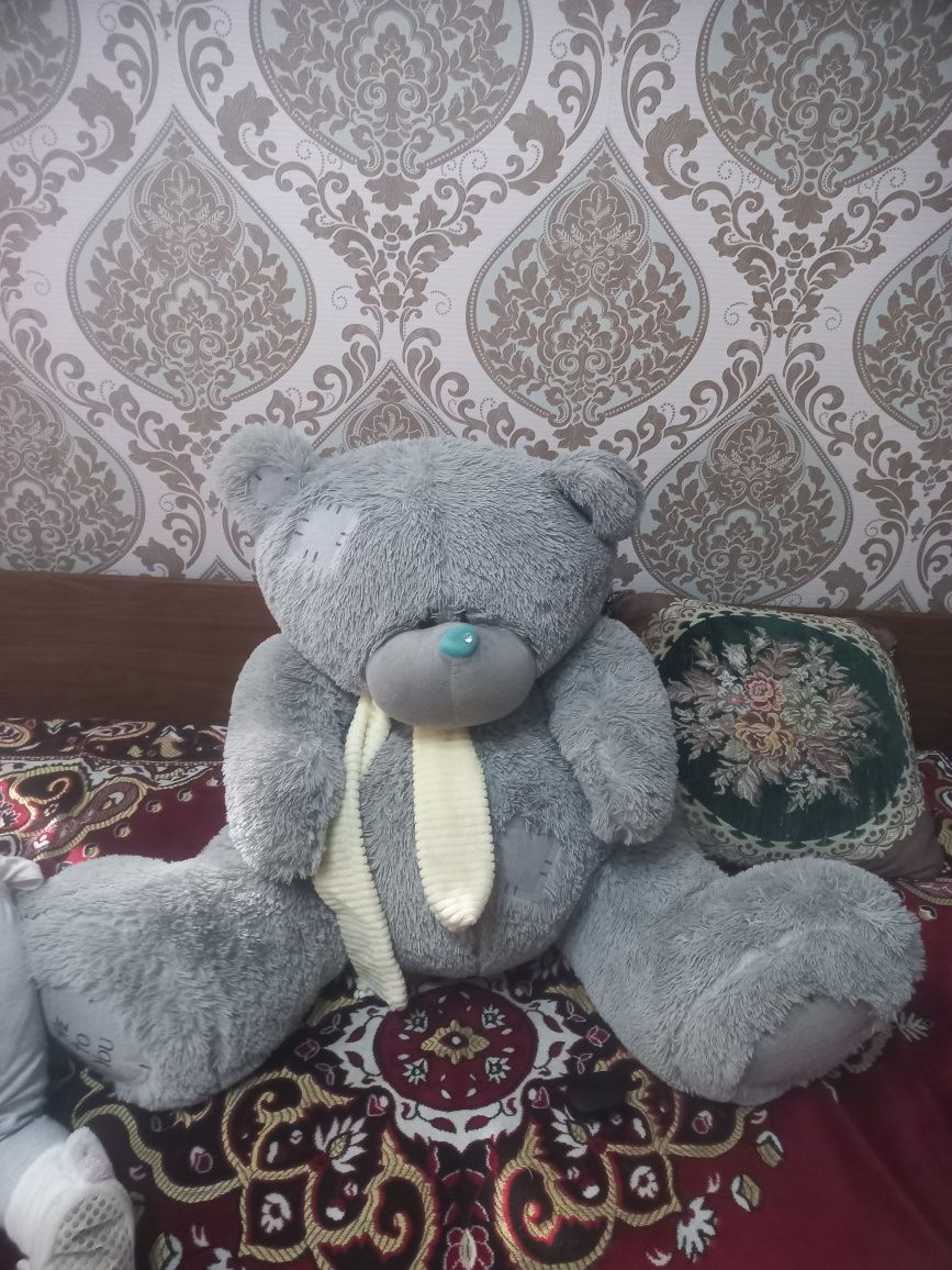 Teddy  sotiladi b.u sastayanasi zioor