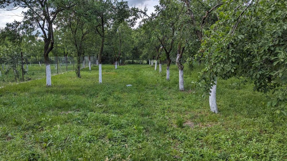 Casa din caramida de vanzare