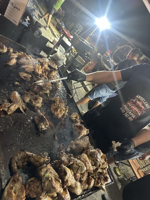 Animale facute la protap !