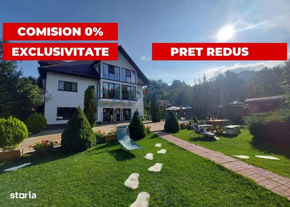 Vila cu piscina la munte, Arges