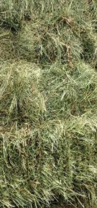 Vînd baloți de fîn și otavă