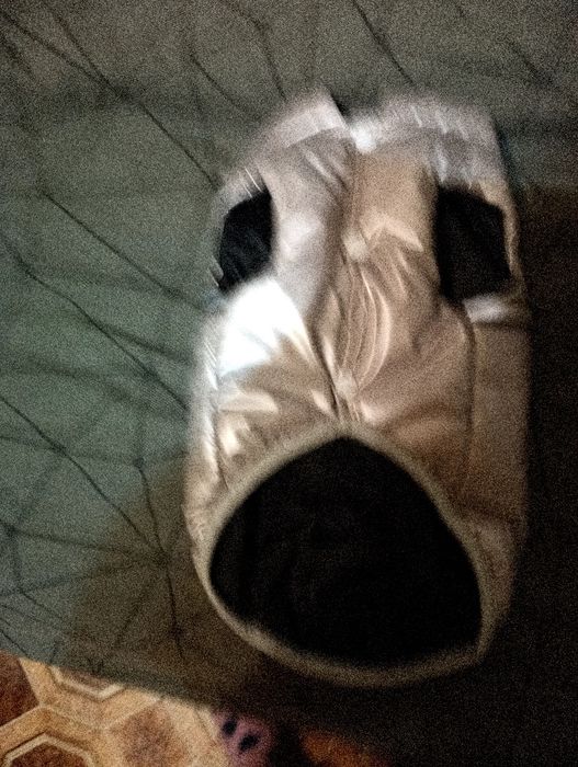 Одежда для собак