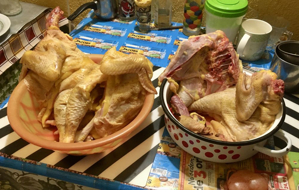 Găini de țară, cocoși, ouă