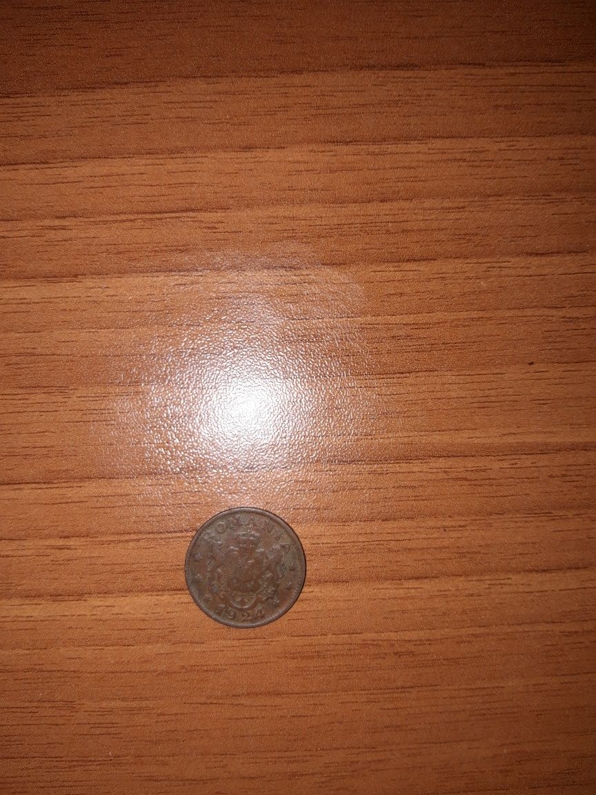 Moneda Bun Pentru 1 LEU 1924