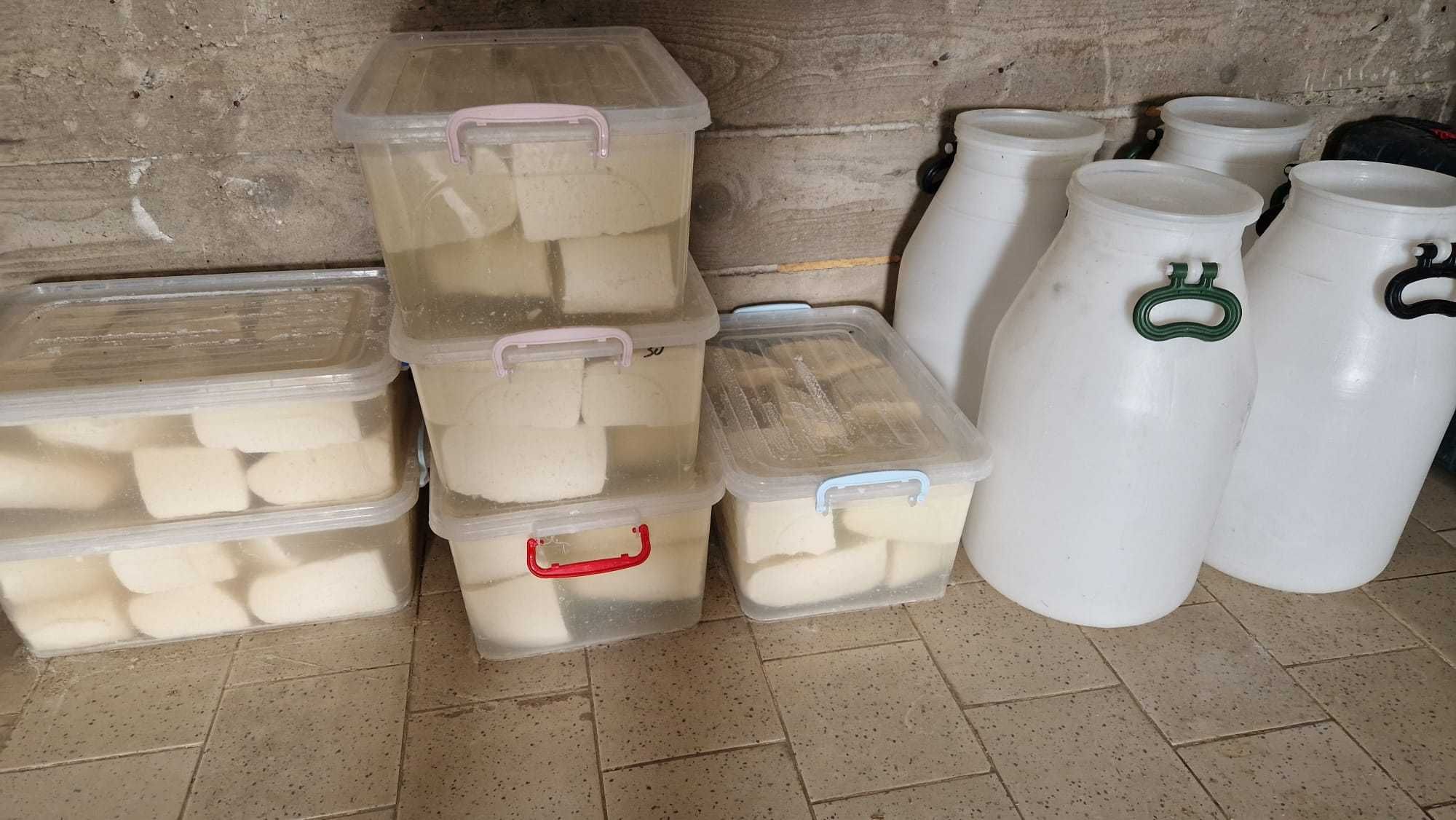 Vand  en gros branza   de vaca maturata