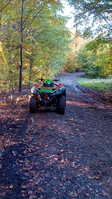 Can am outlander 450 2019