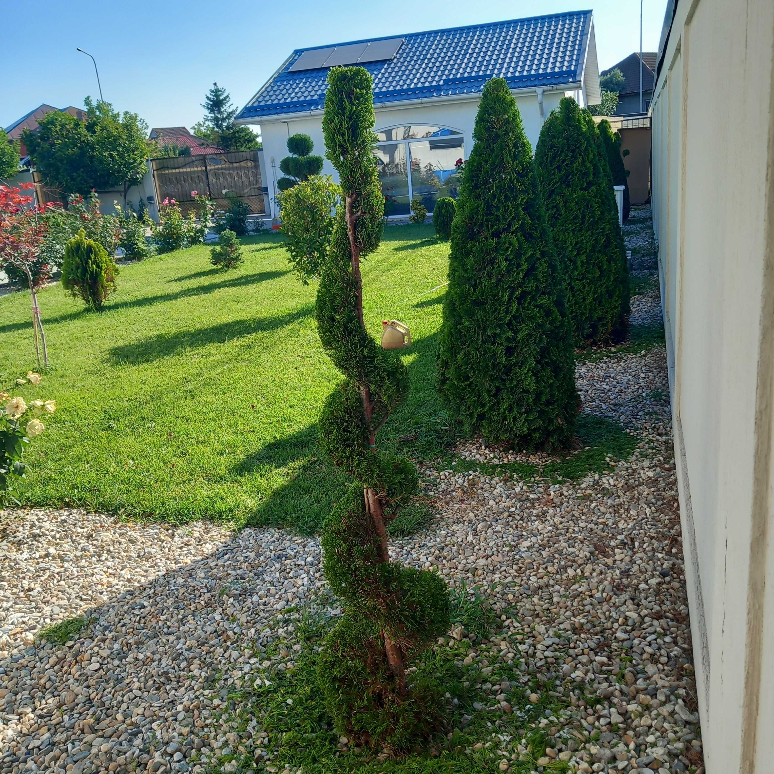Intretinere spatii verzi Craiova