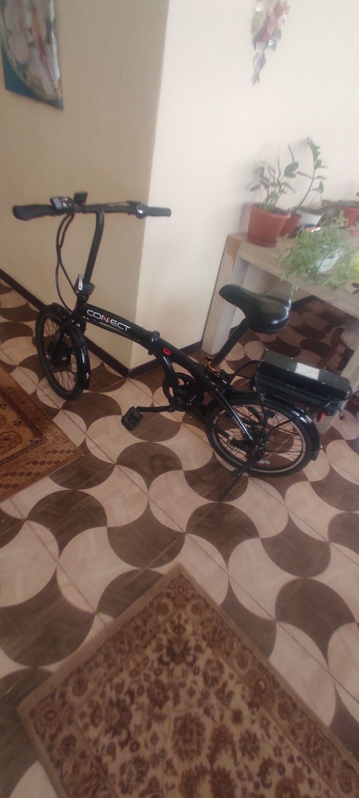 Bicicleta electrica 24 v in stare perfectă de funcționare la probă