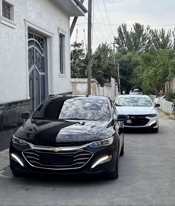 Malibu primer sotiladi yengi sastayana