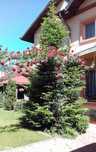 Vila Șoseaua Bucuresti-Magurele