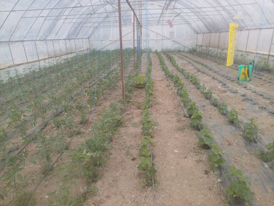Solar 10 lungime cu 20 lățime