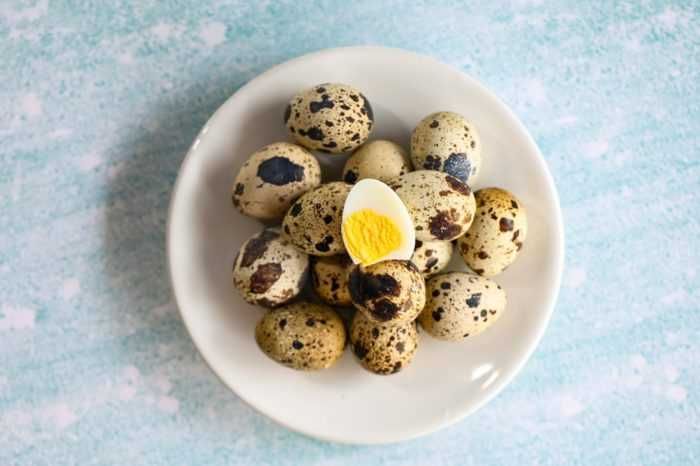 Bedana Тuxumi Свежие и вкусные перепелиные яйца для вашего здоровья!
