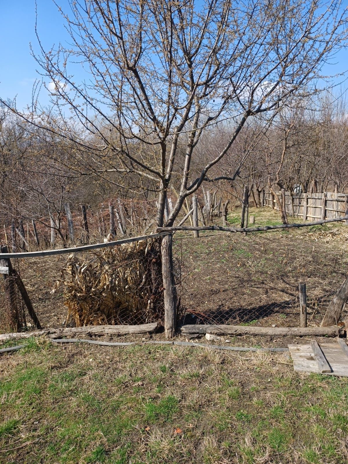 Casă de vânzare în comuna Bengesti Ciocadia