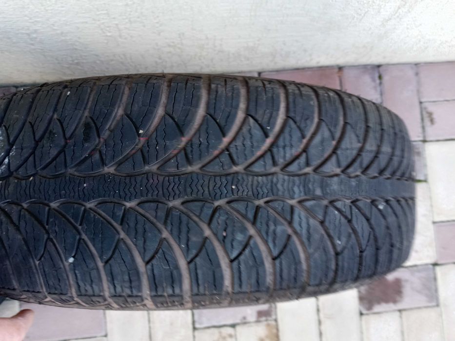 Roti de iarna 195/65/R15