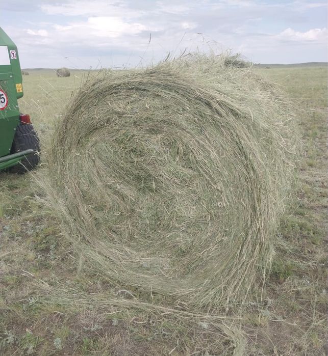 Сено разнотравье Ерейментауский район. Укос 2025 г.