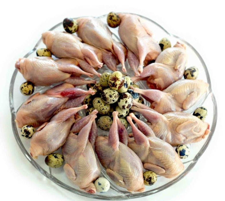 Бөдене еті. Перепела. Мясо.