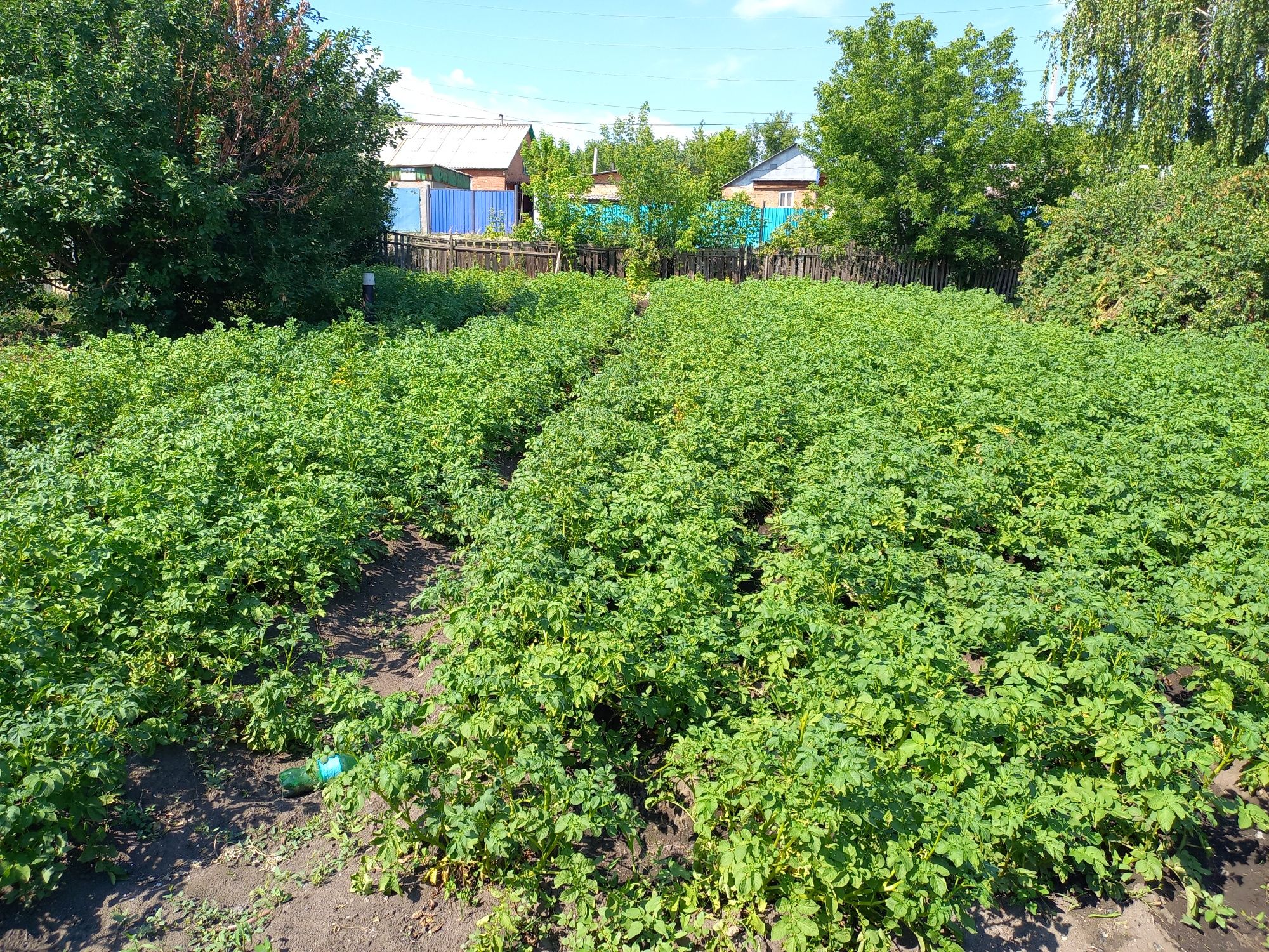 Продаётся дом в районе  Новый Подхоз