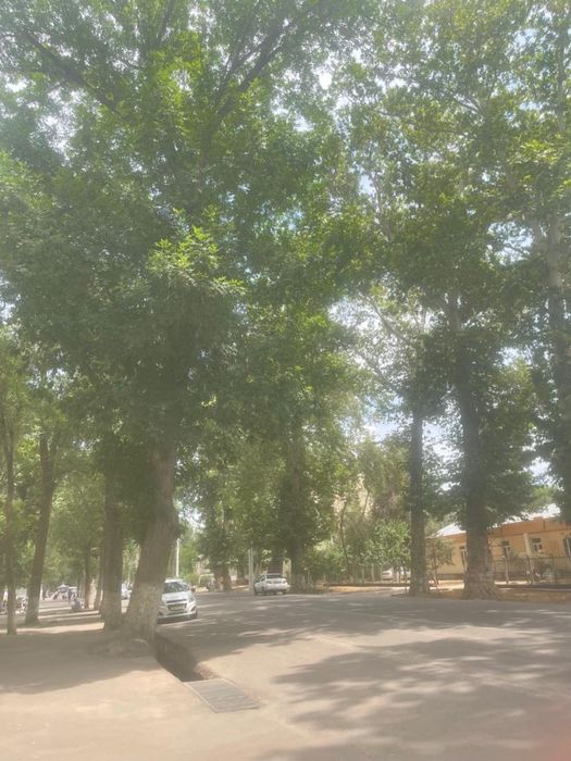 Квартира сотилади