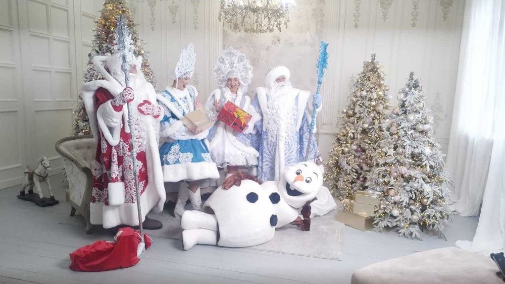 Дед Мороз и Снегурочка на дом или в детский сад.