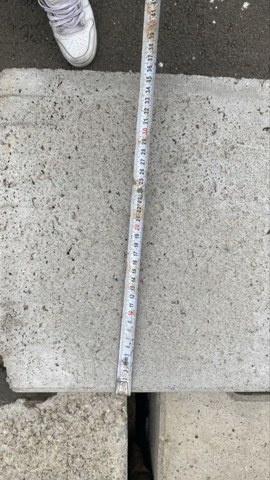 Rigola Carosabila armata