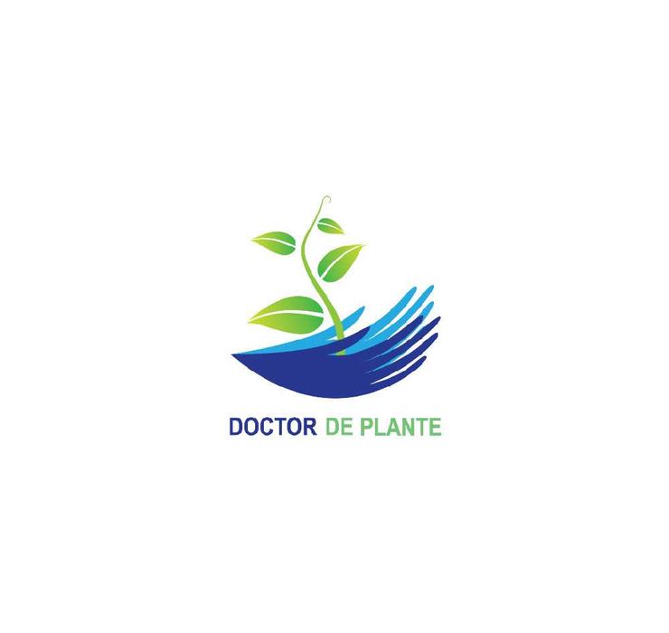 Amenajari spatii de birouri cu plante naturale si artificiale