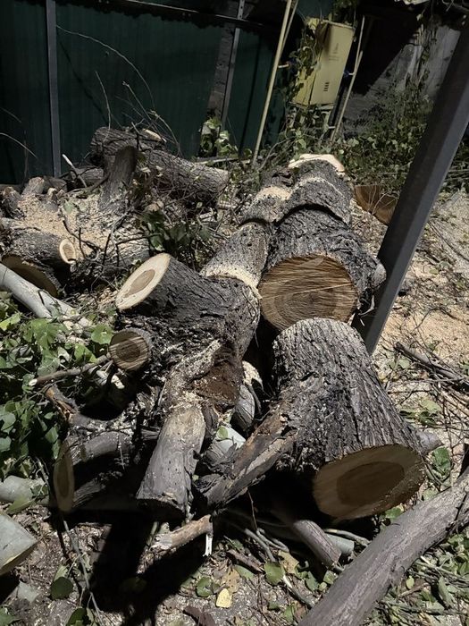 Дрова бесплатно самовывоз