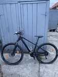 Sprint Apolon Pro 29’ 2020