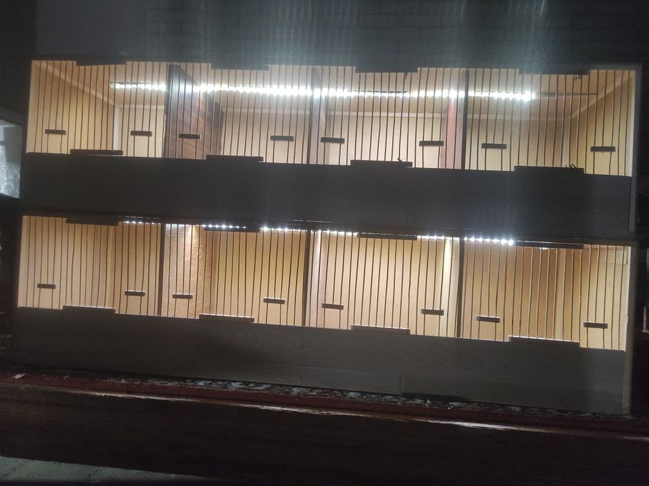 Italiya bedona makiyonlari uchun qafaslar sotiladi