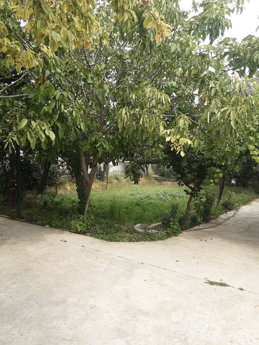 Участок с домом в пригороде Ташкента 21 сотка