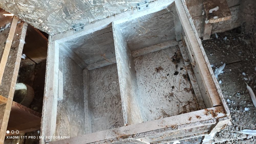 Ladă transport animale ,iepuri, păsări etc