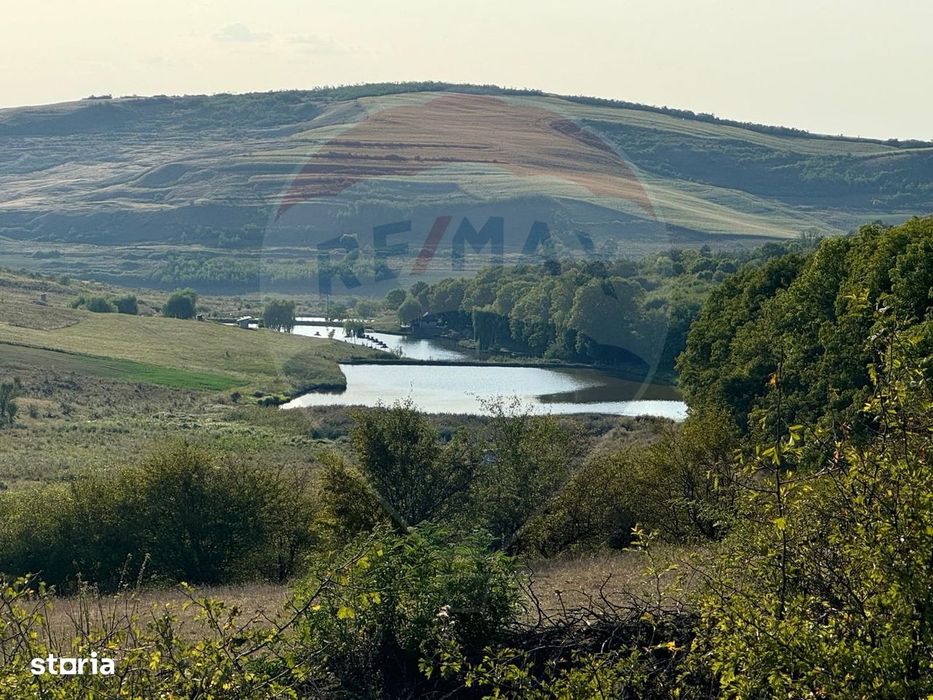Teren cu pârâu | 50,000 mp | zona Caianu-Vama | la liziera pădurii
