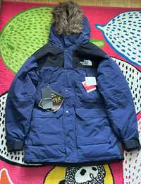 The North Face Gore-Tex Winter Jacket