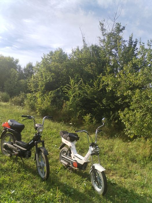 GILETA eco 50  din 1981