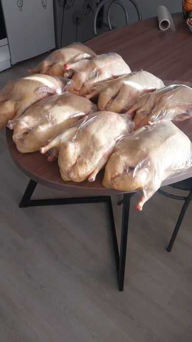 Продам молодые ,свежее, жирные уточки.Продам мясо утки 3000 за кг мясо