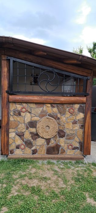 Stejar cu o vechime de peste 15 ani.