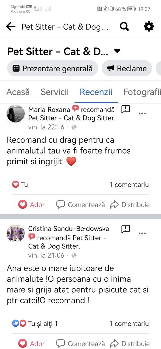 Pet Sitter - Cat & Dog Sitting