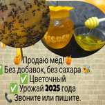 Отличный вкусный Мёд. Урожай 2025.