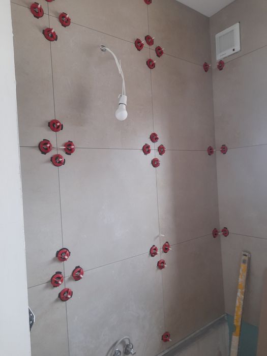 Seriozitate și profesionalism