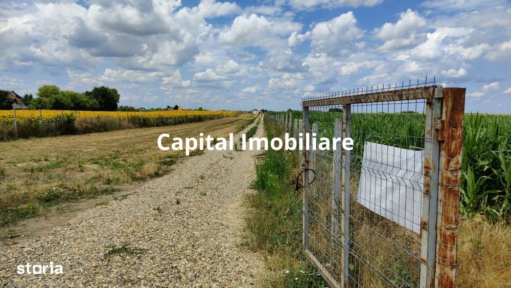 Teren agricol 9100 mp - 45.500€